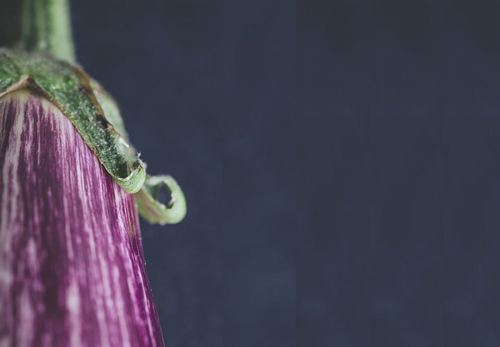 aubergine bio légumes